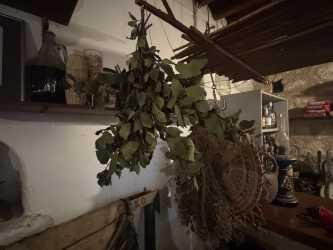 Wycieczka fakultatywna, Wezmę Cię na najlepsze meze w Pafos