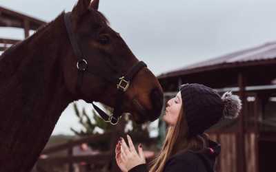 Wycieczka fakultatywna, Konna sesja fotograficzna